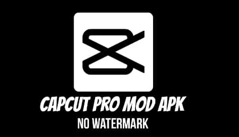 Download Capcut Mod Apk No WM Full Unlocked V.8.3.0